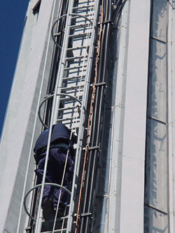 Error al cargar la imagen